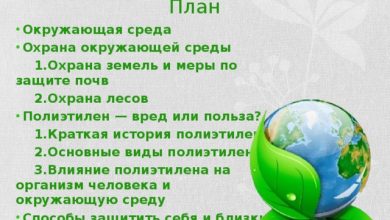 Photo of Новые меры по охране окружающей среды